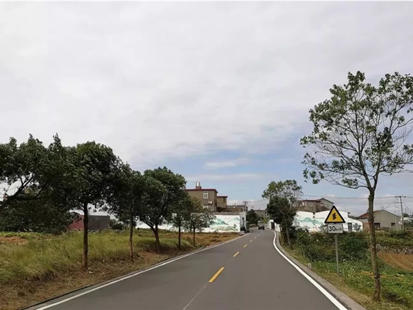 南湖杭州市政道路施工时间段深度剖析:平衡建设与城市生活
